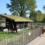 Campsite Estivo Premium Mobile Homes On Holidaypark Terspegelt *