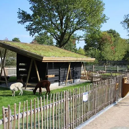 Campeggio Estivo Premium Mobile Homes On Holidaypark Terspegelt *