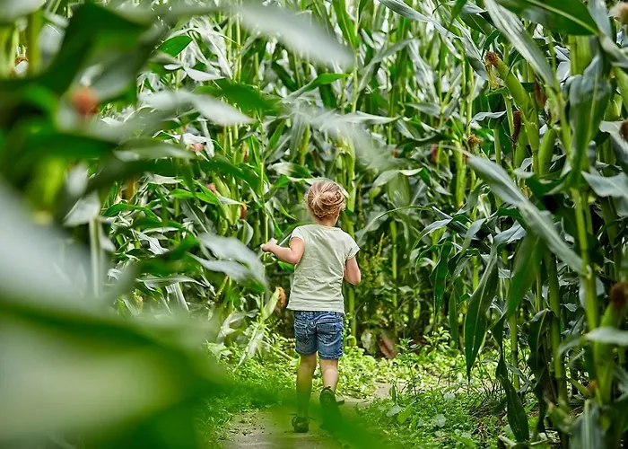 Estivo Premium Mobile Homes On Holidaypark Terspegelt 일서