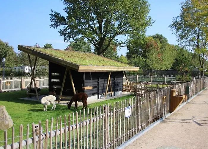 Parque de Campismo Estivo Premium Mobile Homes On Holidaypark Terspegelt *