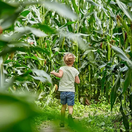 Estivo Premium Mobile Homes On Holidaypark Terspegelt Eersel